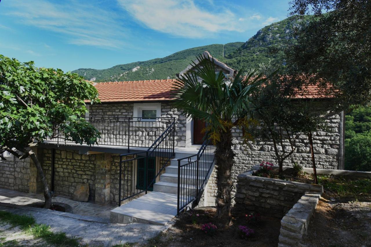 Stone House Morinj Apartment Kotor Bagian luar foto